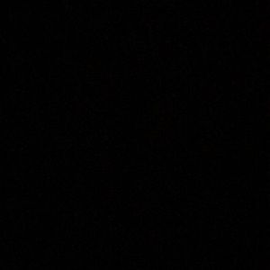 Meet your Posher, Dawson